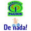COMERCIAL PAUXIS 25