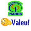 COMERCIAL PAUXIS 11